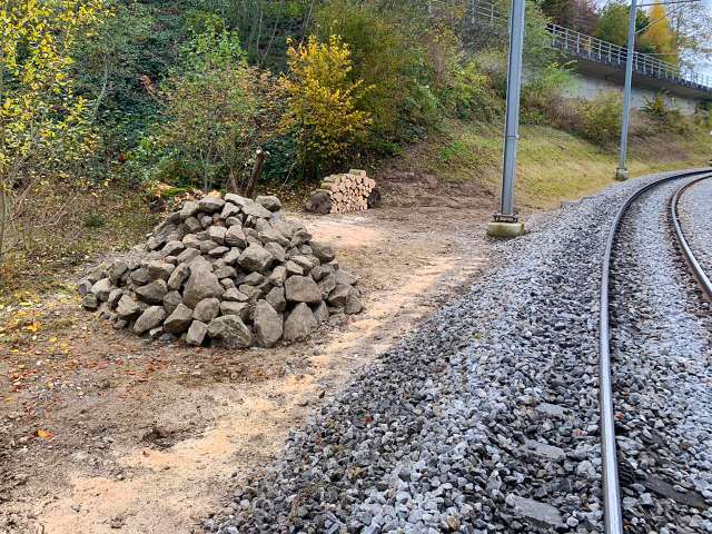 Biodiversität fördern