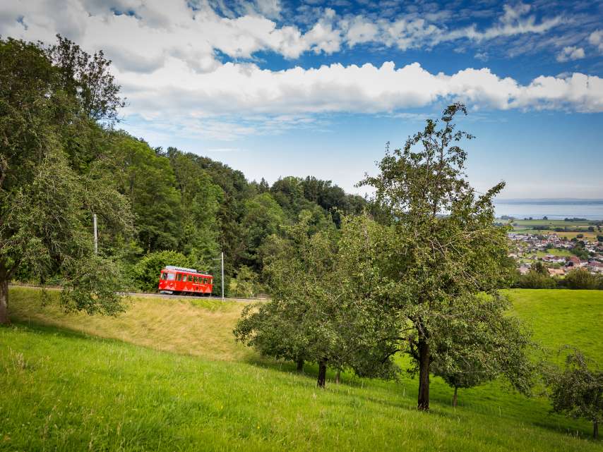 Eintauchen in die Kräuterwelt im Appenzellerland