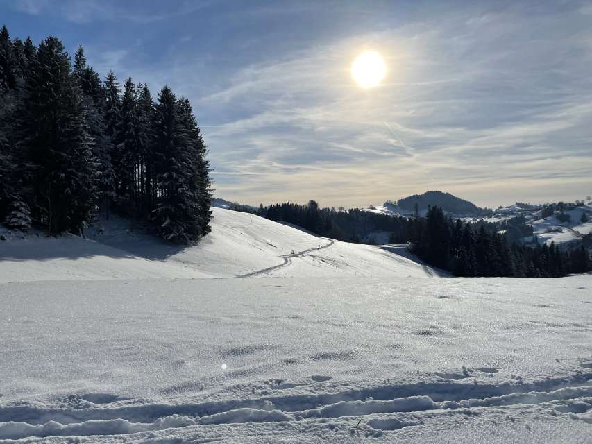 Winterwanderung um Herisau