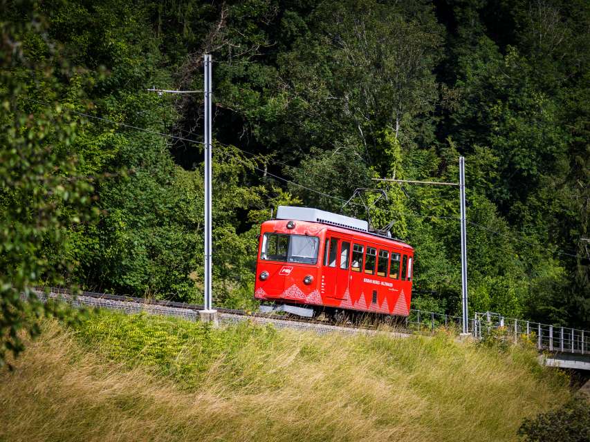 Eintauchen in die Kräuterwelt im Appenzellerland