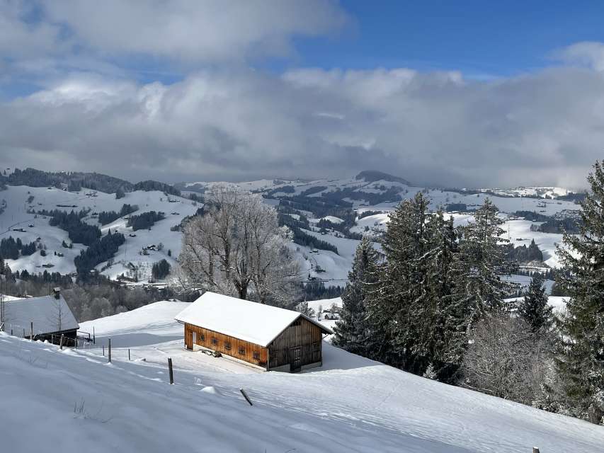Schneeschuhwanderung zur Hundwilerhöhi