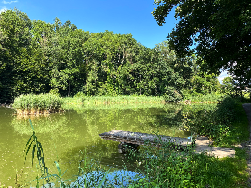 Wanderung im Wängemer Hexentobel
