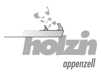 holzin ag