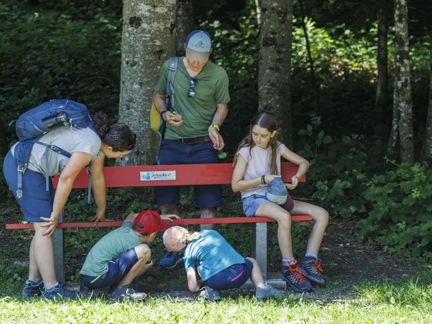 Schatzsuche mit Abelina